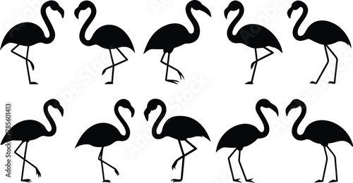 Flamingo, black flamingo, flock of flamingos, stylized flamingo, minimalist flamingo, vector flamingo, silhouette flamingo, graphic flamingo, modern flamingo, flamingo pattern
