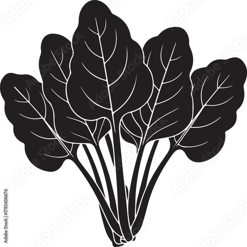 black silhouette of spinach bunch on white background, vector