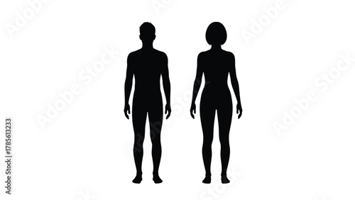 Human Body Silhouettes - Full Length Male and Female Figure Outlines Standing Isolated on White Background