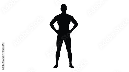 Muscular Male Silhouette Standing in Confident Pose Vector Illustration