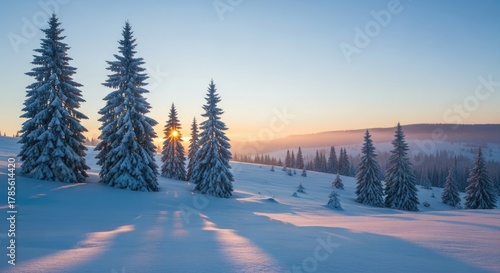 Fototapeta Naklejka Na Ścianę i Meble -  Snow-covered trees in a winter landscape with a setting sun.