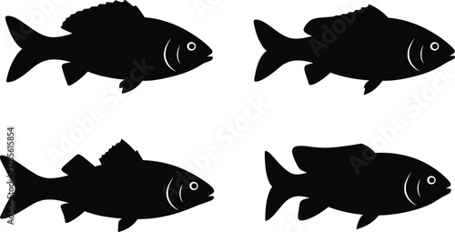 Fish silhouette vector set, aquatic marine icons, different species shapes, fins and tails variations, underwater wildlife illustration, ocean life design collection
