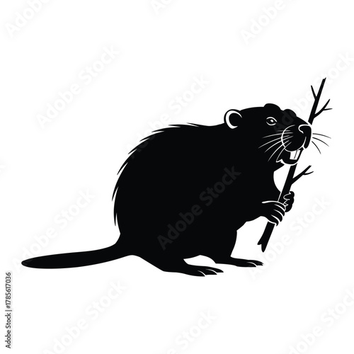 Beaver standing with branch in mouth Silhouette, Vector, Illustration