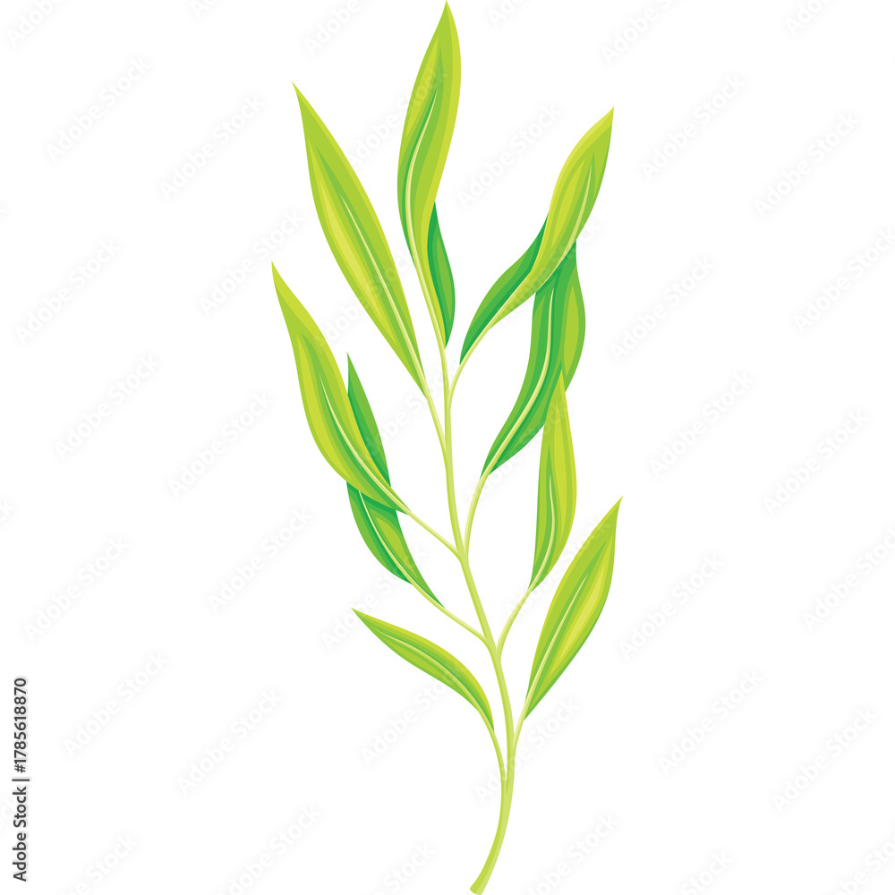 Fototapeta premium A Delicate Sprig Of Vibrant Green Leaves Emerging From A Slender Stem With A Transparent Background
