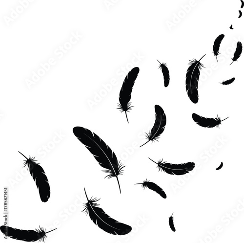 Black feather silhouettes floating and falling on white background vector illustration