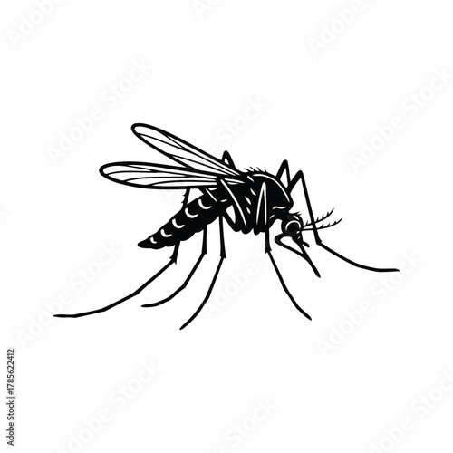 Black silhouette of a mosquito on a white background
