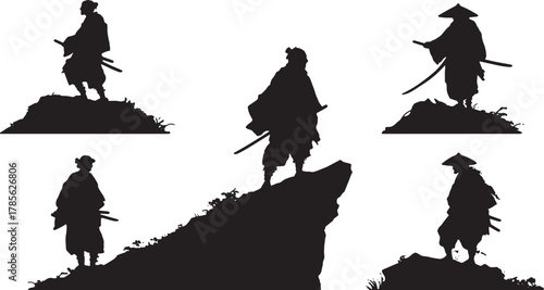 Samurai on Mountaintop Overlooking Silhouette Scene
