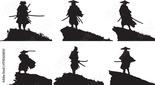 Samurai on Mountaintop Overlooking Silhouette Scene