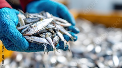 A close-up shot of a fisherman handling fresh fish in wooden crates on a boat .