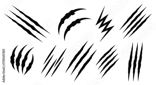 Claw scratch marks vector illustration animal predator design