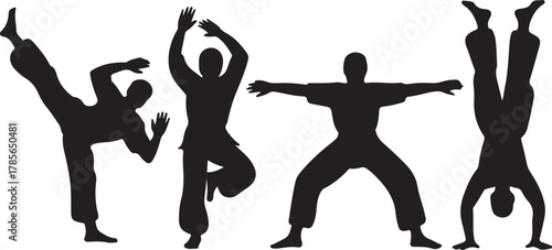 Martial Arts Pose Silhouettes Training Fitness Kicking Action Positions Practice
