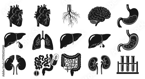 Diverse human organs and medical symbols for science and health