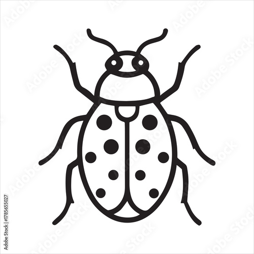 Asian lady beetle line arts with white background