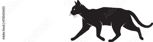 silhouette of a cat walking 