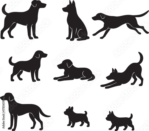 Silhouettes of various dog breeds in playful poses on a white background, minimal design