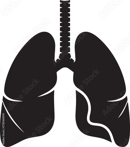 Black silhouette of human lungs and trachea on a white background representing the respiratory system and breathing health and medical concepts