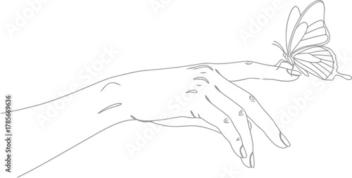 Delicate butterfly perched gracefully on a woman s outstretched hand