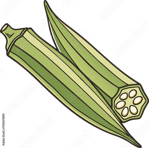 Two fresh okra pods are the main subjects, positioned diagonally across each other against a transparent background. The okra pods are vibrant green with textured, ribbed surfaces and pointed tips. Th
