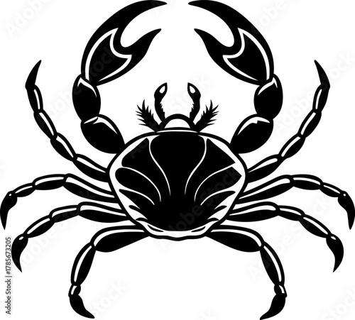 A detailed, black and white illustration of a crab centered on a white background. The crab is depicted in a top-down view, showcasing its entire body. It has a rounded carapace with detailed hatched 