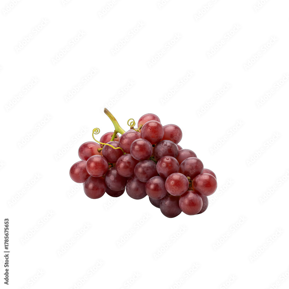 Fototapeta premium A Bunch of Ripe Red Seedless Grapes with a Green Stem Isolated on a Black Background