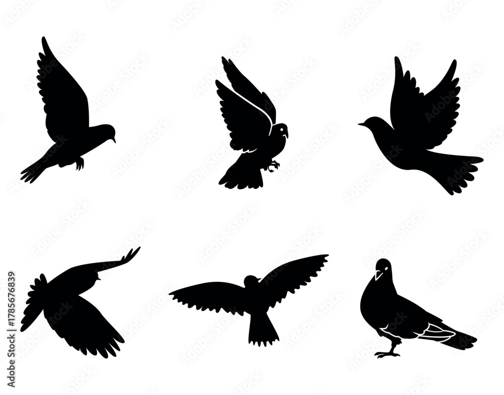 Obraz premium Flying Pigeon Silhouette Set | Bird Vector Illustration