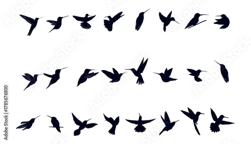 Hummingbird Silhouette Collection. Flying and Sitting Hummingbird Vector Set for Design and Decoration