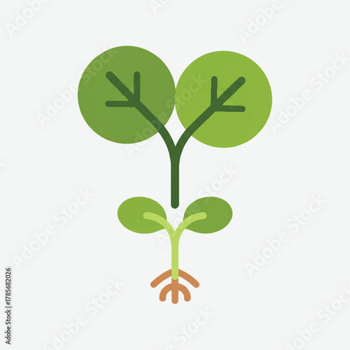 A green seedling with roots and two sets of leaves