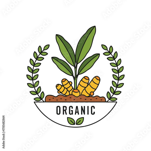 A logo of turmeric plant roots and leaves with the word ORGANIC