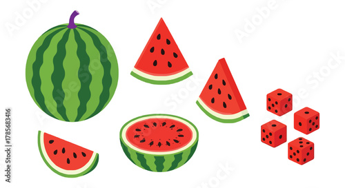 Watermelon slices dice summer fruit fresh juicy red green vector