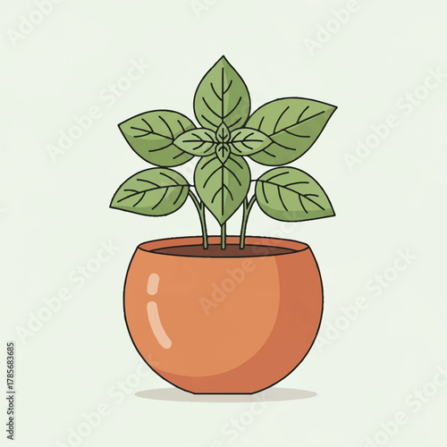 A potted basil plant with green leaves in an orange pot