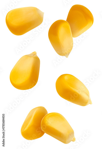 flying fresh sweet corn kernels isolated on a pure transparent background, detailed studio photograph showing glossy texture and natural color.