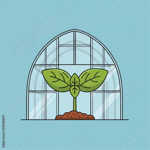 A seedling sprouts inside a greenhouse