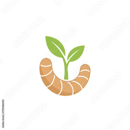 A stylized illustration of a ginger root with two green leaves sprouting from it