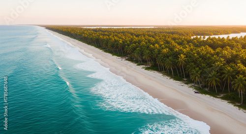 Aerial View of a Pristine Beach with Lush Palm Trees and Turquoise Waters, Summer Vacation