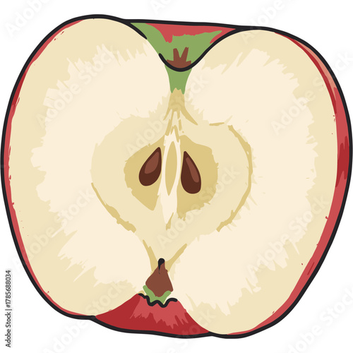 Half Cut Apple Vector Illustration with Seeds, Poster Color Style