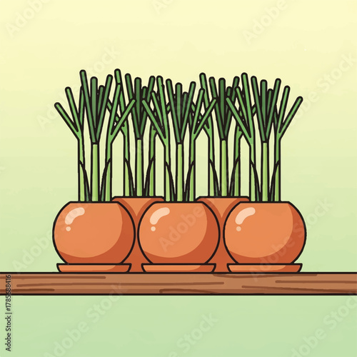 Carrots in pots on a shelf