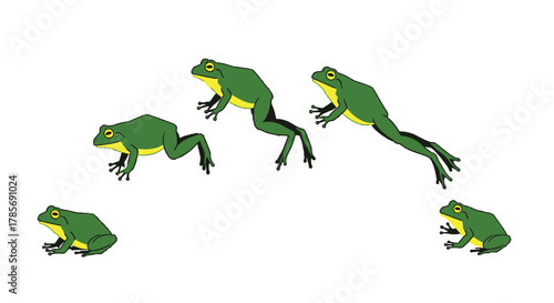 Frogs jumping animation sequence green amphibians on white background