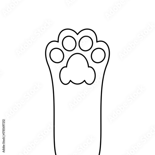 Pet Cat Paw