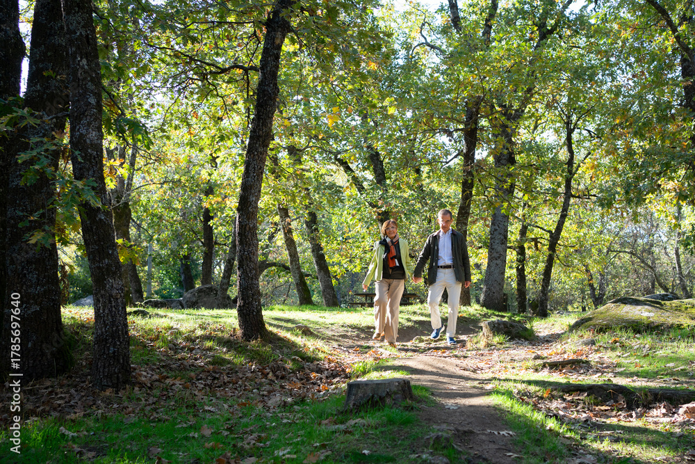 Fototapeta premium Couple walking hand in hand through autumn forest path