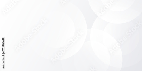 Abstract white background with white circle lines digital art simple modern