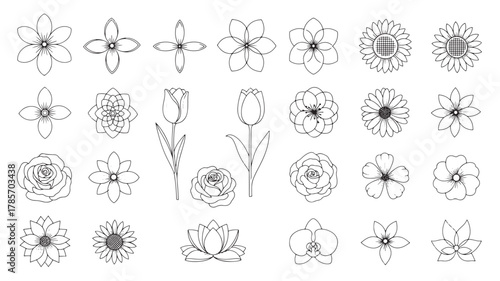 Collection of diverse flower outlines isolated on white background