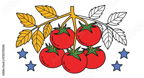 Vibrant ripe tomatoes on vine with golden leaves and blue stars