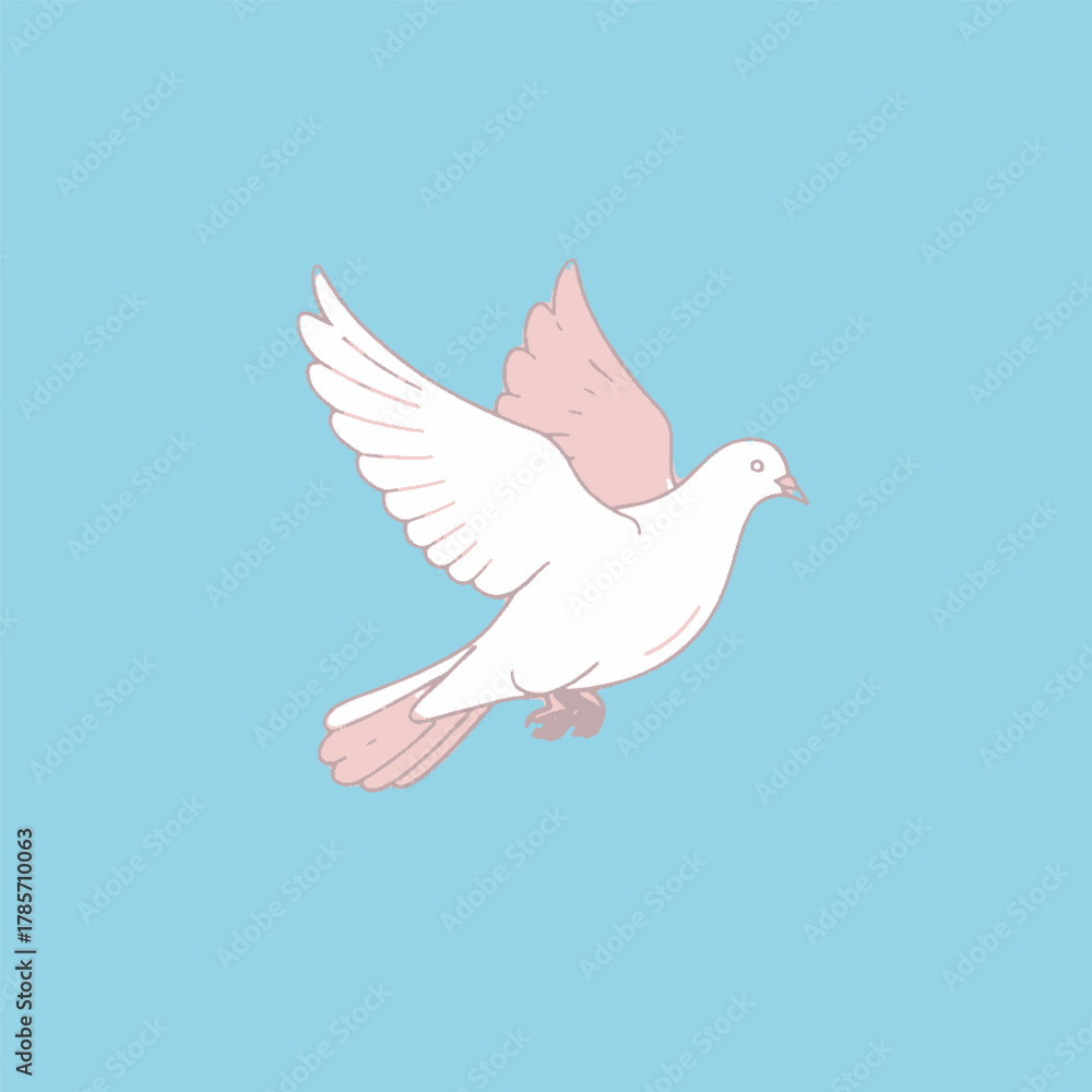 Obraz premium pigeon flaying bird white