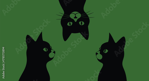 Playful black cats with curious eyes in modern minimalist design