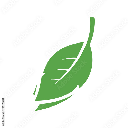 A vibrant green leaf with a distinct vein pattern, isolated on a white background, symbolizing nature and growth.