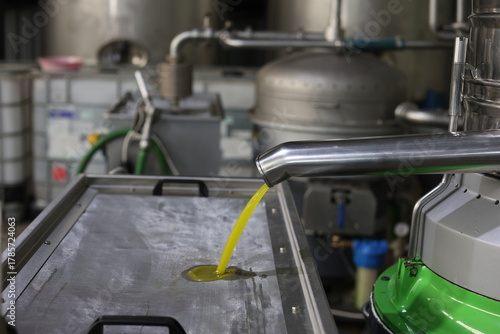 Fresh olive oil flowing from separator