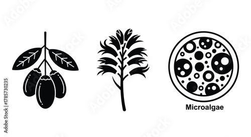 Explore diverse plant life with stylized olive branch and microalgae icon