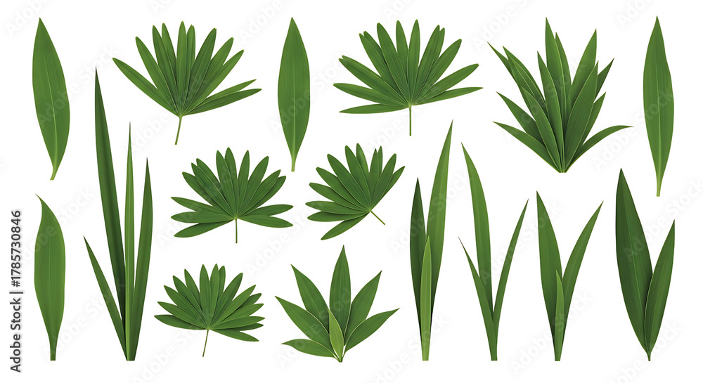 Obraz premium Collection of diverse green tropical leaves and foliage isolated on white background