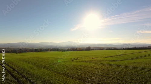 the forest of thuringia and the grosser inselsberg mountain in germany 4k 25fps video