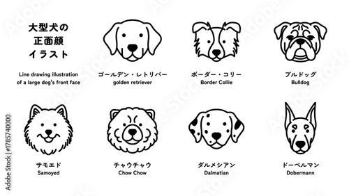 大型犬の正面顔の線画イラストセット（ゴールデン・レトリバー、ブルドッグなど） 編集可能なパス